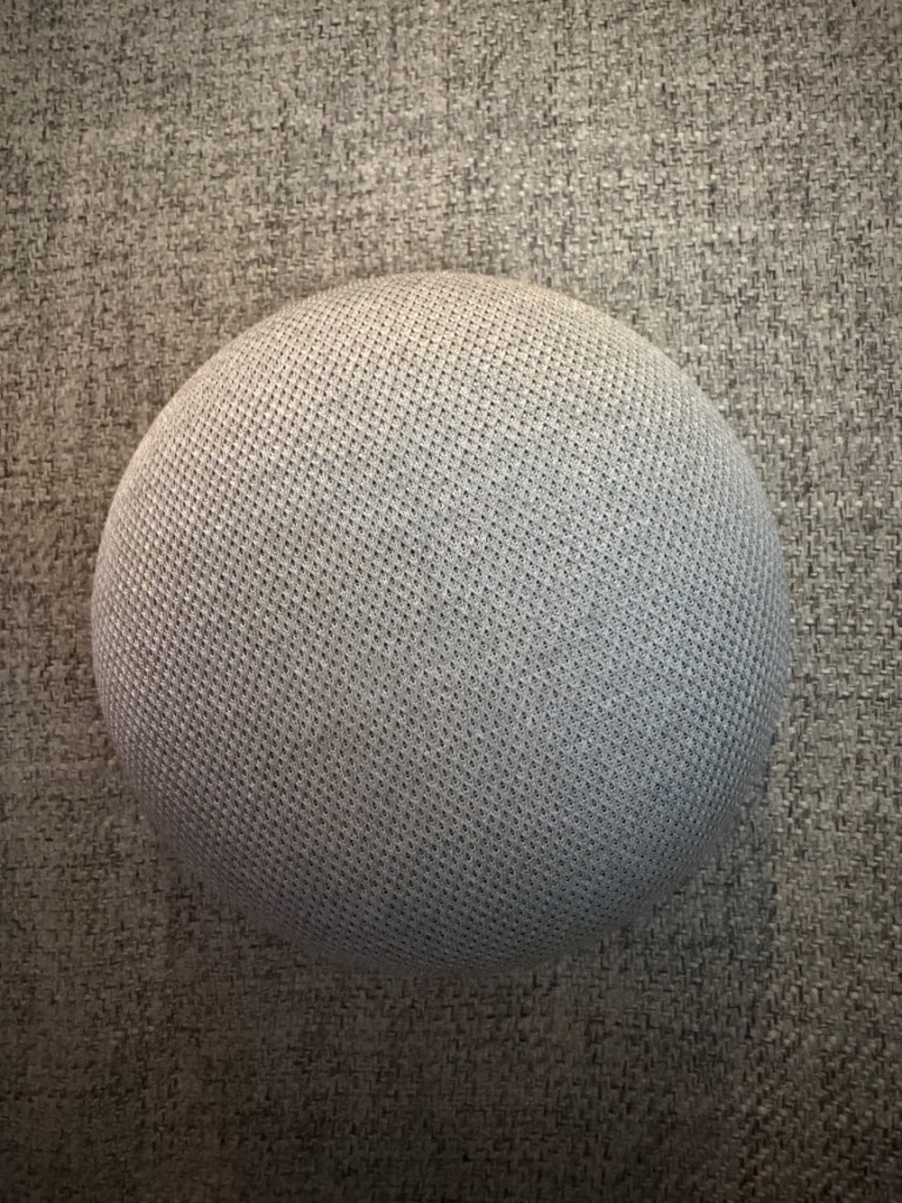 Google nest device